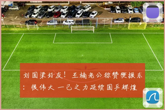 刘国梁好友！王楠老公称赞樊振东：很伟大 一己之力延续国乒辉煌