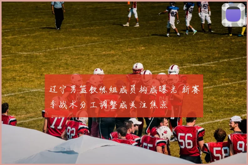 辽宁男篮教练组成员构成曝光 新赛季战术分工调整成关注焦点