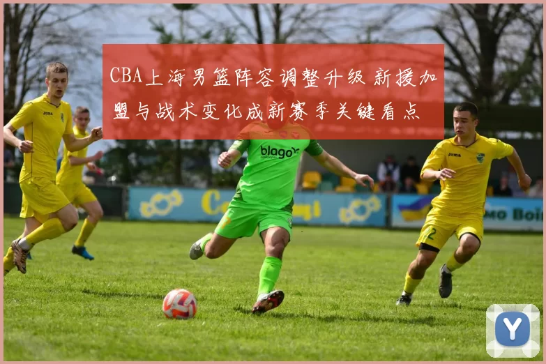 CBA上海男篮阵容调整升级 新援加盟与战术变化成新赛季关键看点