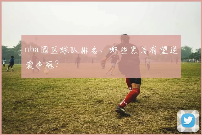 nba园区球队排名，哪些黑马有望逆袭夺冠？