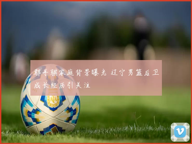 鄢手骐家庭背景曝光 辽宁男篮后卫成长经历引关注