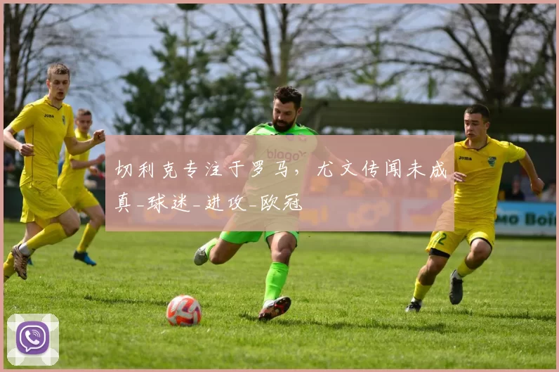 切利克专注于罗马，尤文传闻未成真_球迷_进攻_欧冠